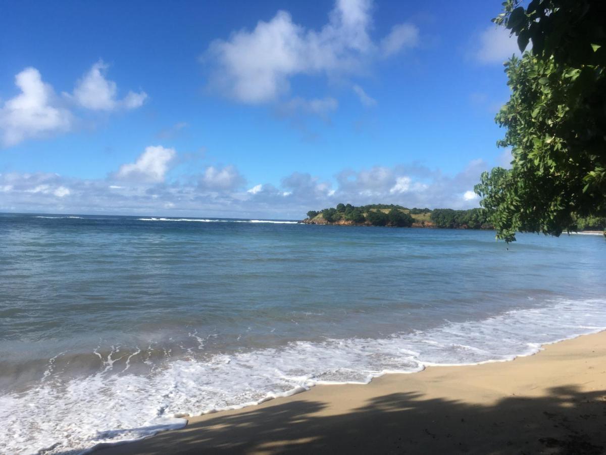 Studio Ana Martinique La Trinité Exteriör bild